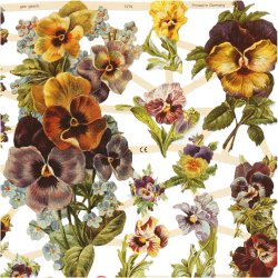 Glansbilleder, stedmoderblomster, ark 16,5x23,5 cm, 2 ark/ 1 pk.