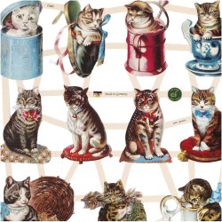 Glansbilleder, katte, ark 16,5x23,5 cm, 2 ark/ 1 pk.