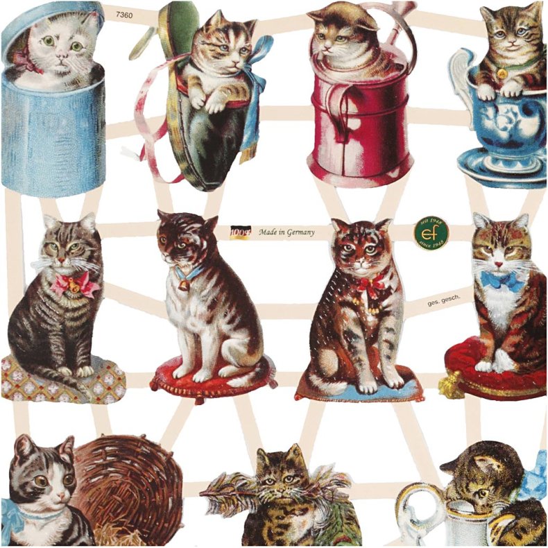 Glansbilleder, katte, ark 16,5x23,5 cm, 2 ark/ 1 pk.