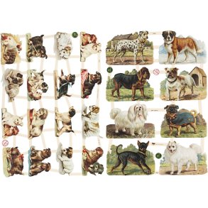Glansbilleder, hunde, ark 16,5x23,5 cm, 2 ark/ 1 pk.