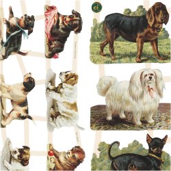 Glansbilleder, hunde, ark 16,5x23,5 cm, 2 ark/ 1 pk.