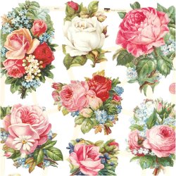 Glansbilleder, rosenmix, ark 16,5x23,5 cm, 2 ark/ 1 pk.