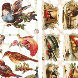 Glansbilleder, fugle, ark 16,5x23,5 cm, 2 ark/ 1 pk.