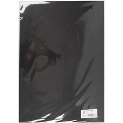 Karton, A2, ark 420x594 mm, 180 g, sort, 10 ark/ 1 pk.