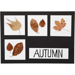 Karton, A2,A3,A4, 200+250 g, sort, hvid, 600 ass. ark/ 1 pk.