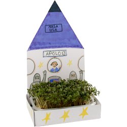 Karsebakke-figur, hus, H: 20 cm, hvid, 6 s&aelig;t/ 1 pk.