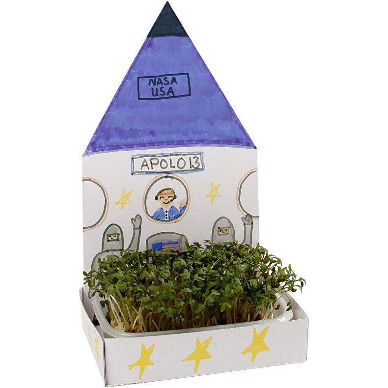 Karsebakke-figur, hus, H: 20 cm, hvid, 6 s&aelig;t/ 1 pk.