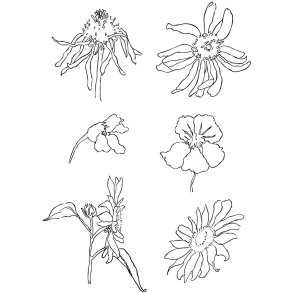 Silikonestempler, sommer, ark 11x15,5 cm, 1 ark