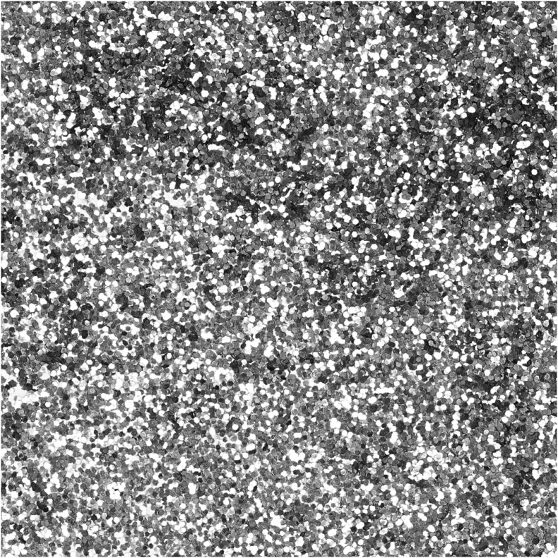 Bio-glimmer, diam. 0,4 mm, s&oslash;lv, 10 g/ 1 ds.