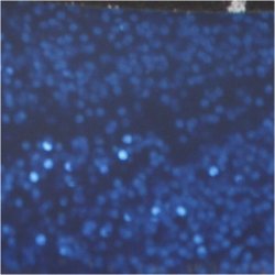 Glimmerlim, m&oslash;rk bl&aring;, 25 ml/ 1 fl.