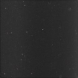 Glimmerlim, sort, 118 ml/ 1 fl.