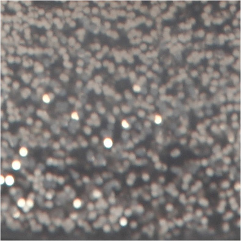 Glimmerlim, s&oslash;lv, 25 ml/ 1 fl.