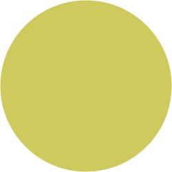 Textile Solid, d&aelig;kkende, kiwi, 250 ml/ 1 fl.