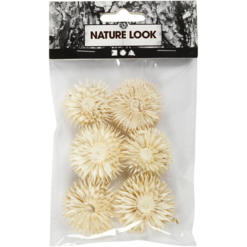 T&oslash;rrede Blomsterhoveder, diam. 3-5 cm, 6 stk./ 1 pk.
