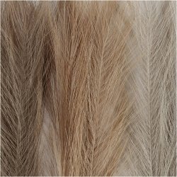 Pampasgr&aelig;s, L: 50 cm, lys pudder, lys brun, lys gr&aring;, 3 stk./ 1 bdt.