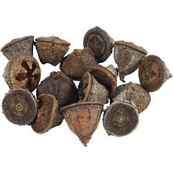 Eucalyptuskogler, 25 g/ 1 pk.