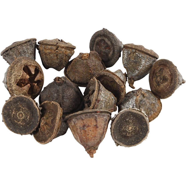 Eucalyptuskogler, 25 g/ 1 pk.