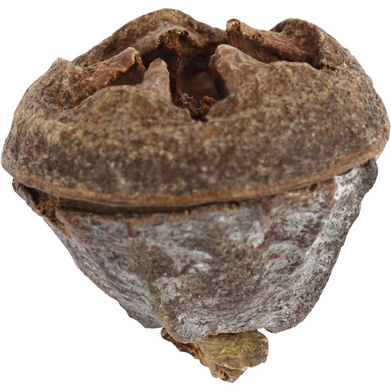 Eucalyptuskogler, 25 g/ 1 pk.