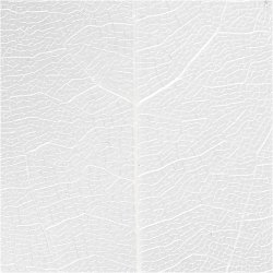 Skeletblade, L: 6-8 cm, hvid, 20 stk./ 1 pk.