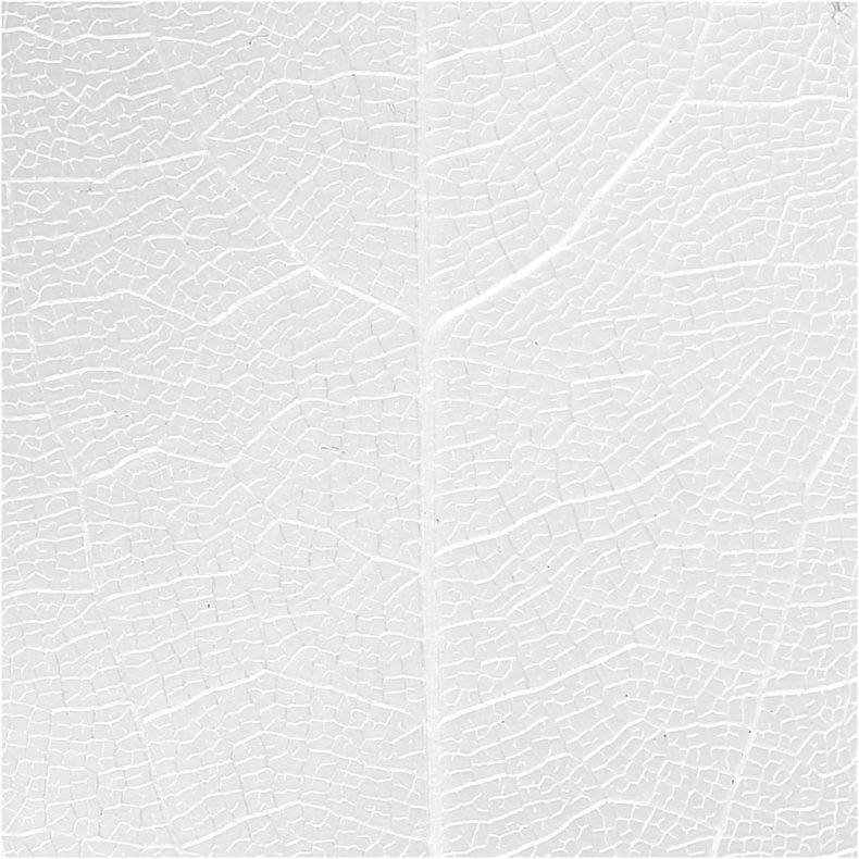 Skeletblade, L: 6-8 cm, hvid, 20 stk./ 1 pk.