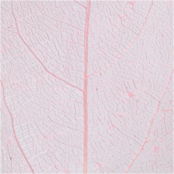 Skeletblade, L: 6-8 cm, lyser&oslash;d, 20 stk./ 1 pk.