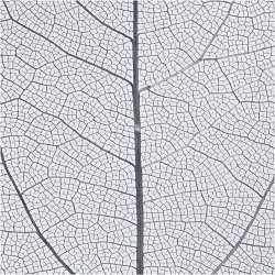 Skeletblade, L: 6-8 cm, bl&aring;, 20 stk./ 1 pk.