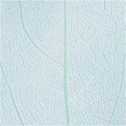 Skeletblade, L: 6-8 cm, lysebl&aring;, 20 stk./ 1 pk.