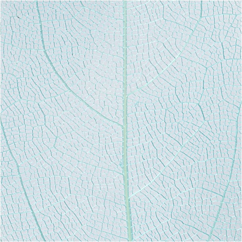 Skeletblade, L: 6-8 cm, lysebl&aring;, 20 stk./ 1 pk.