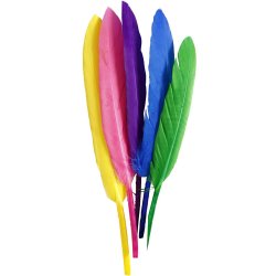 Fjer, L: 13 cm, ass. farver, 48 stk./ 1 pk.