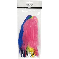 Fjer, L: 20 cm, ass. farver, 36 stk./ 1 pk.