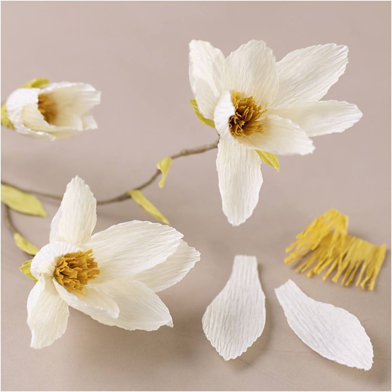 Mini DIY Kit Crepepapir, Magnoliagren, Str&aelig;k/crepe: 180%, 1 pk.