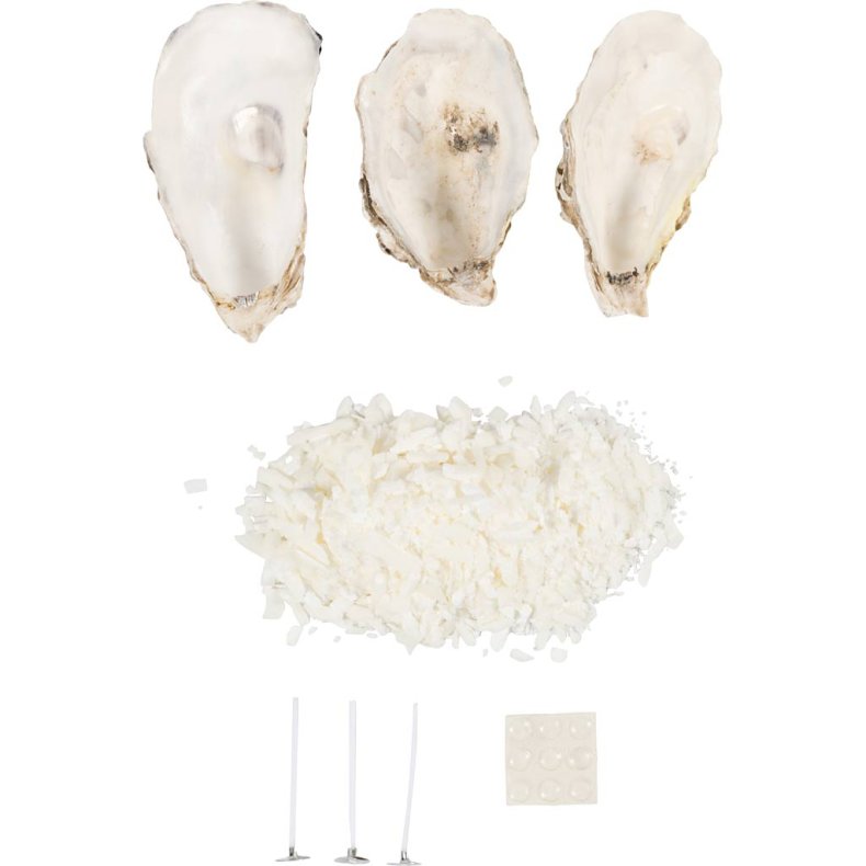 Mini DIY Kit Lysst&oslash;bning, Soyalys i &oslash;stersskaller, off white, 1 pk.