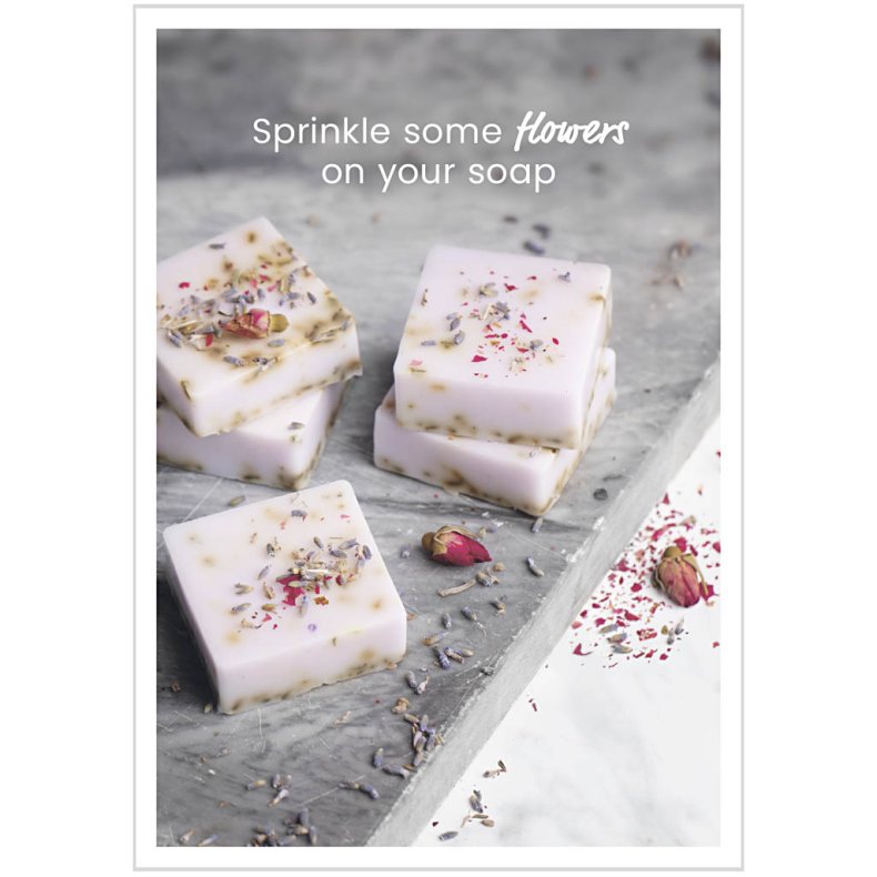 Postkort, S&aelig;befremstilling, A5, 1 stk.